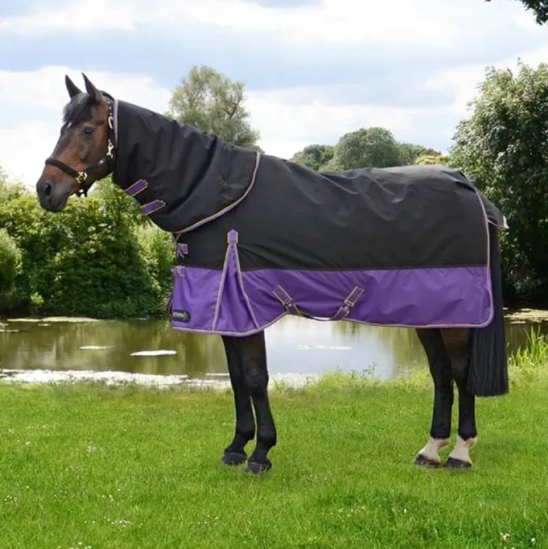 StormX Original 200g Turnout Rug with Detachable Neck - Black/Purple/Yellow